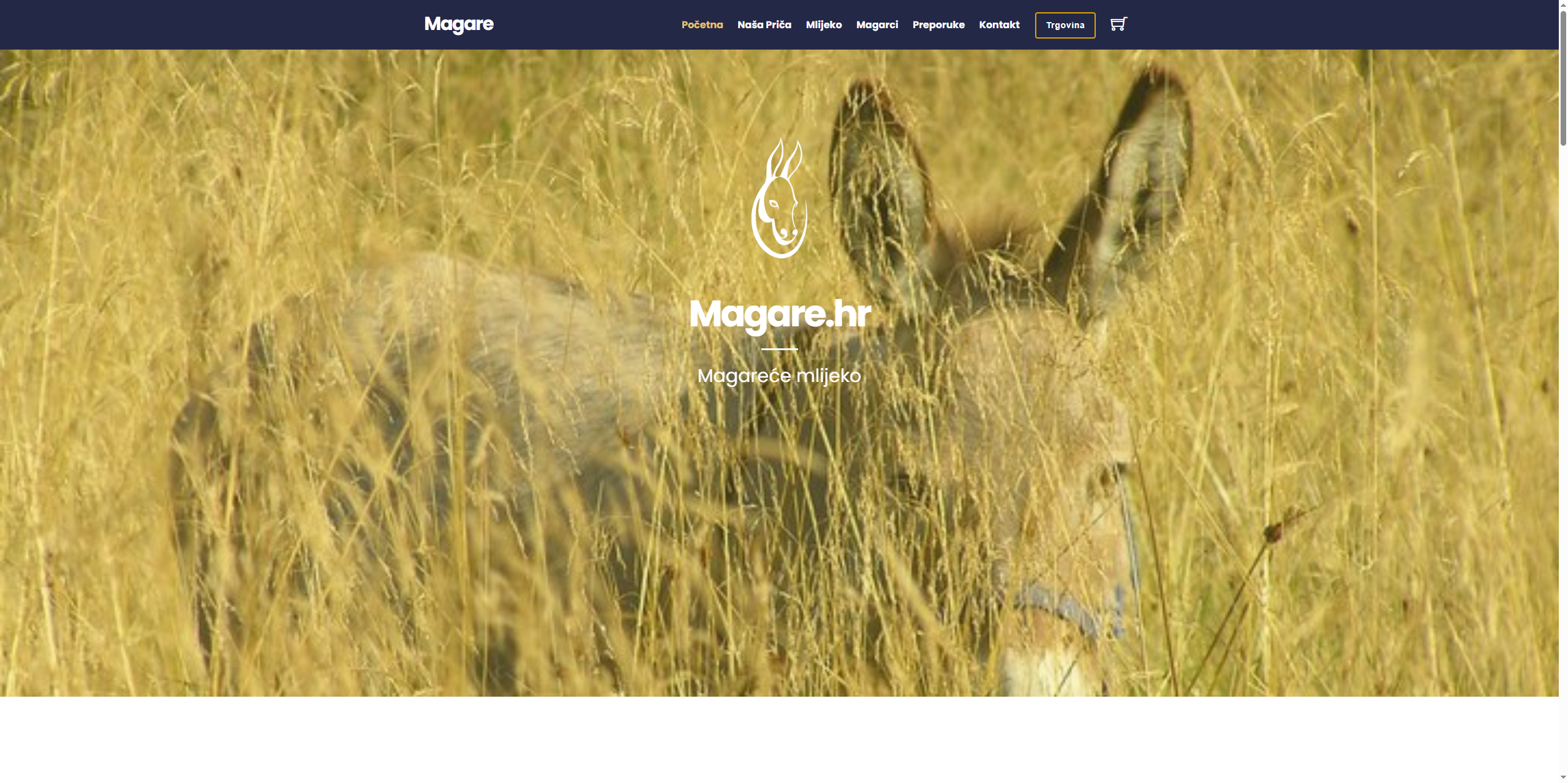 Magare